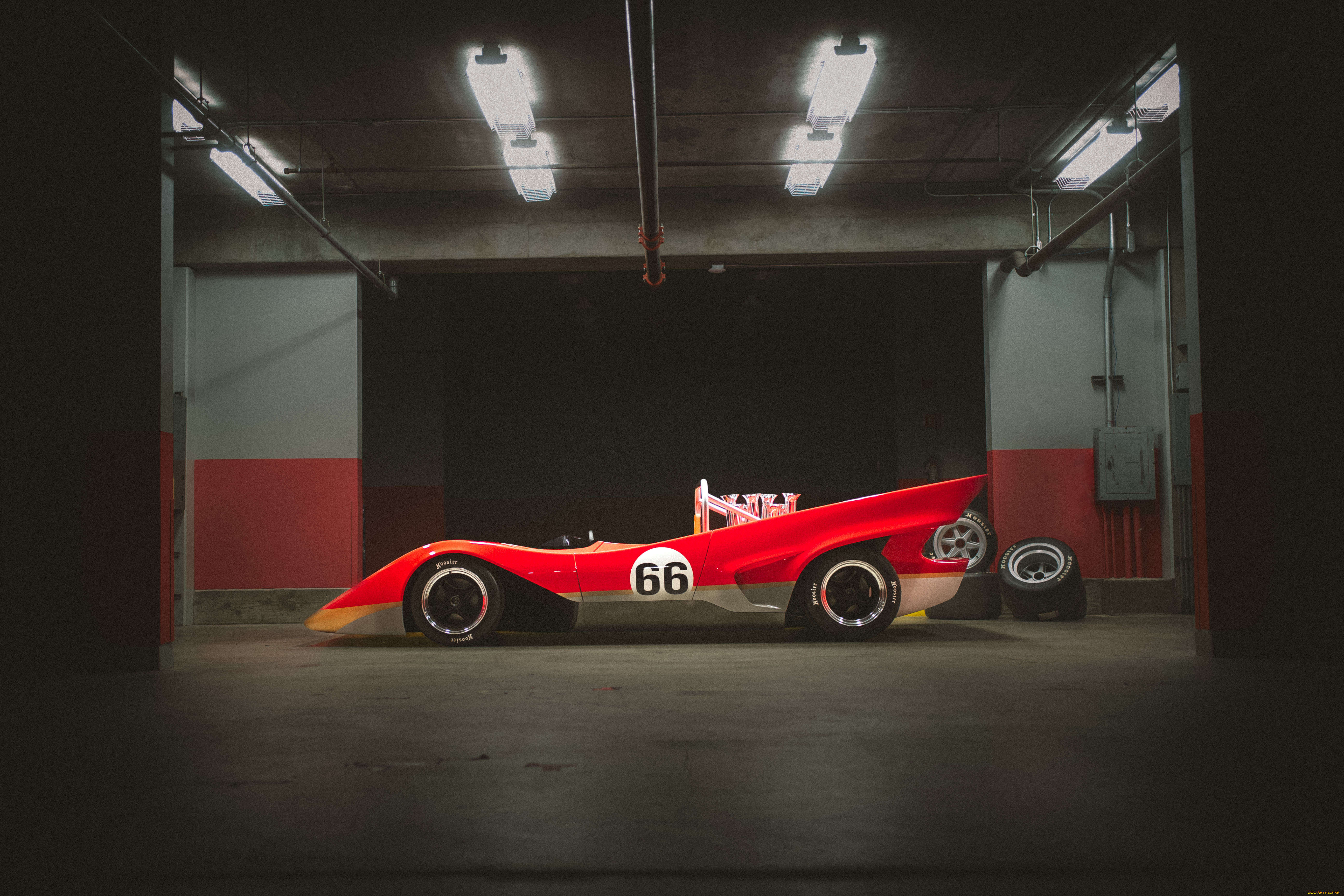 , lotus